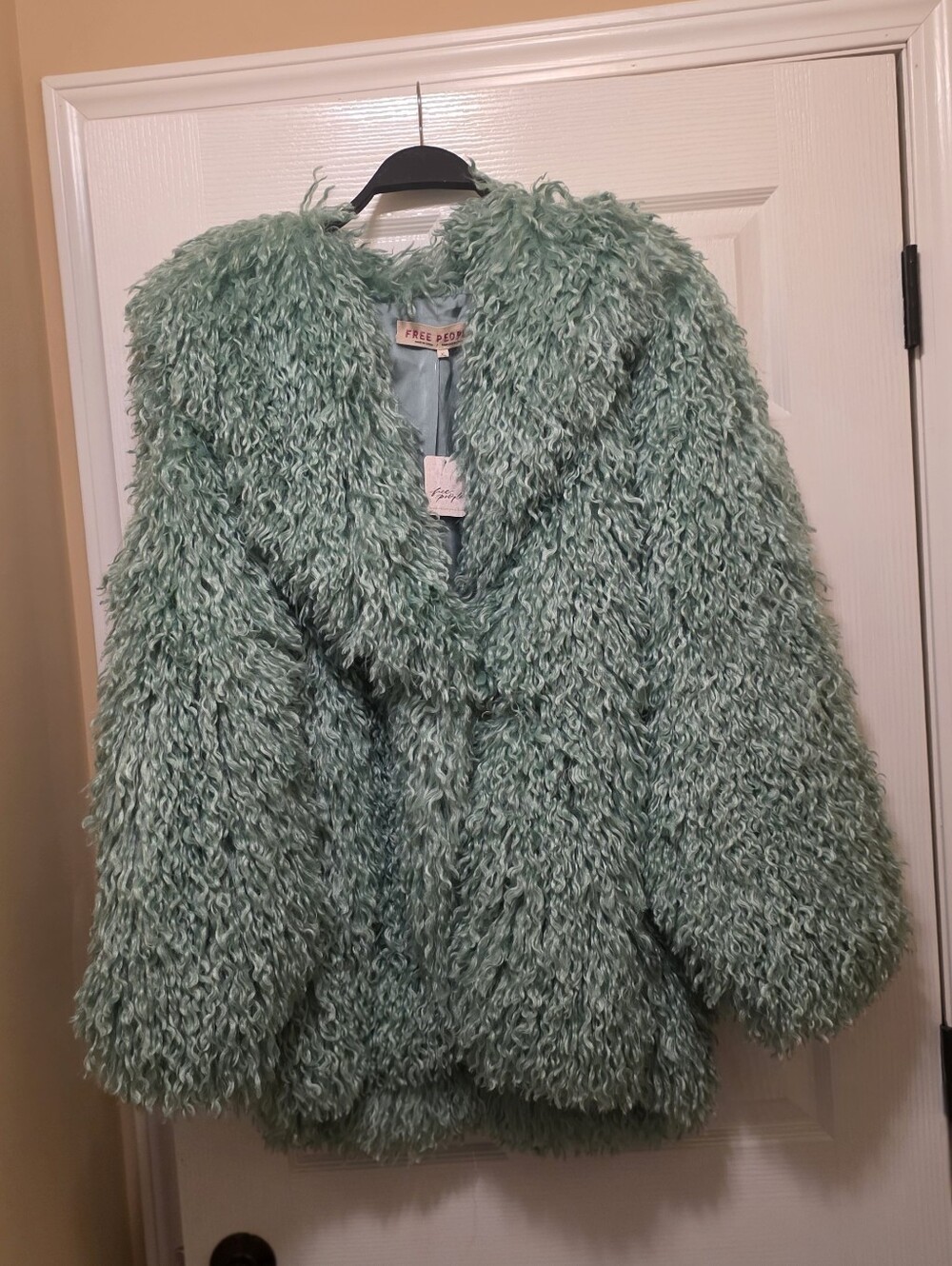 Free People Textured Faux-Fur Jacket in Mint Green